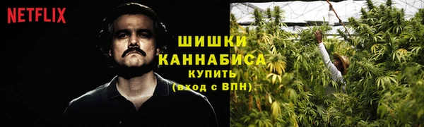 гидра Богородск