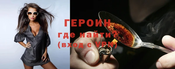 гидра Богородск
