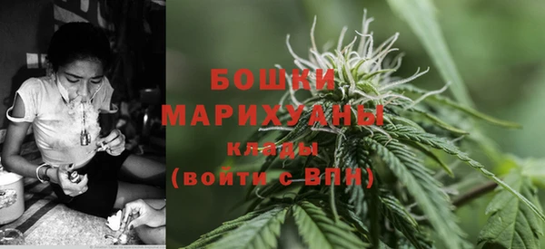 мескалин Богородицк