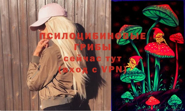 марки nbome Богданович